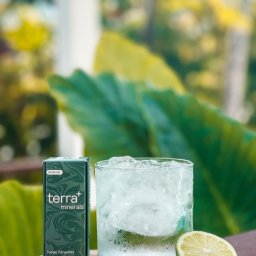 Terra Plus - sklep z suplementami diety - kwas fulwowy - Szklanka wody z lodem i limonką obok opakowania suplementu diety kwas fulwowy na drewnianej podstawce, na tle zielonych liści.