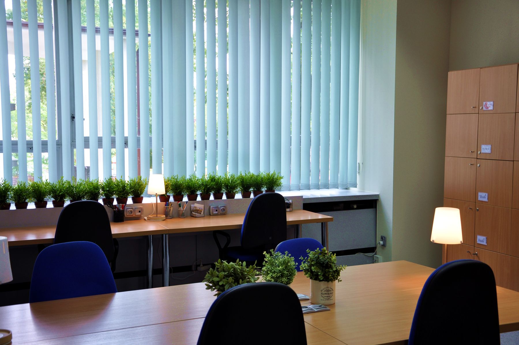 Jasne wnętrze biura z rzędem roślin w doniczkach na parapecie, pionowymi żaluzjami w oknie i drewnianymi szafkami zamykanymi na klucz z boku.