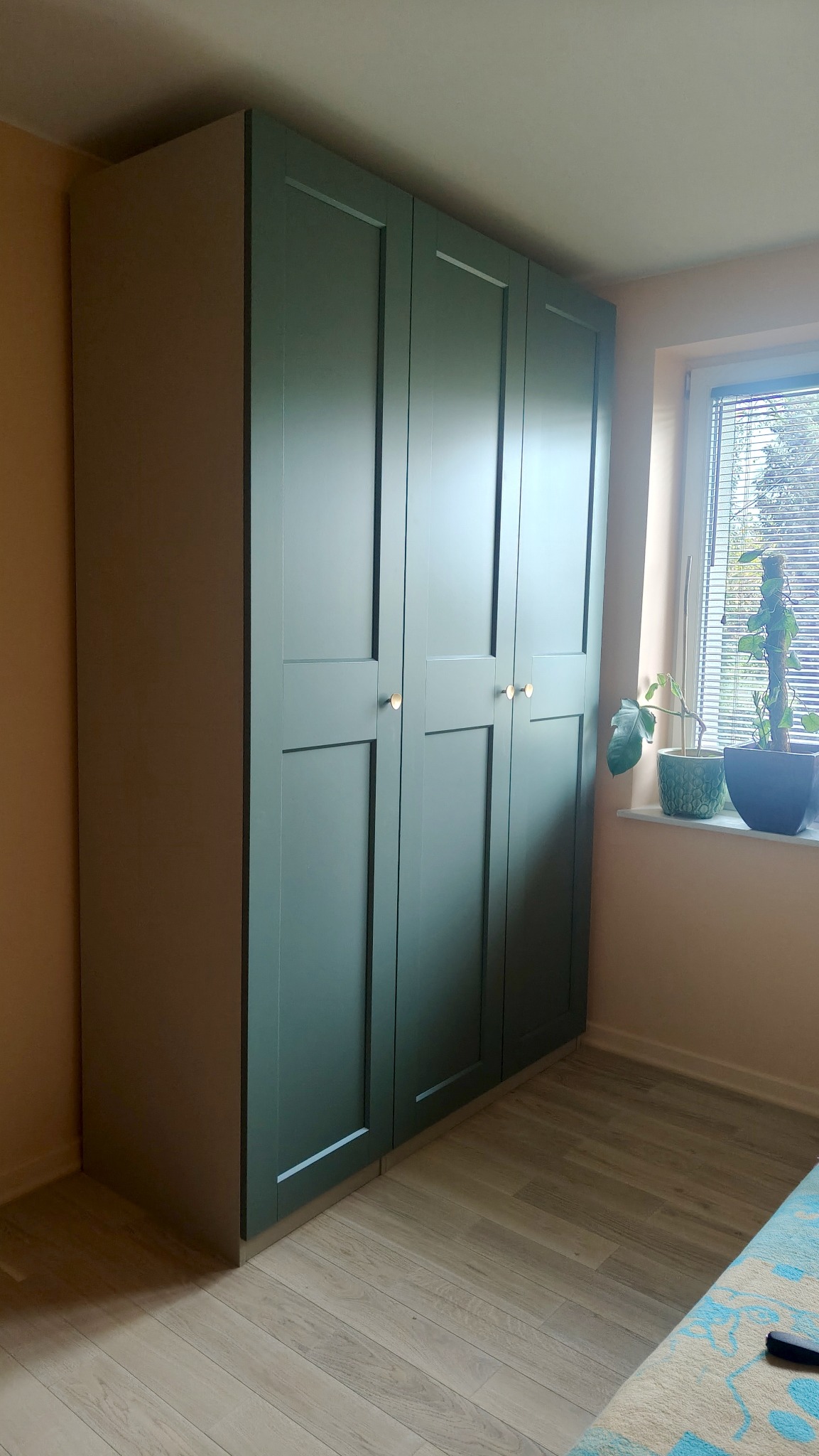 Wysoka, czterodrzwiowa szafa w odcieniach zieleni z okrągłymi, złotymi uchwytami, stojąca na jasnej podłodze, obok okna z roślinami doniczkowymi.