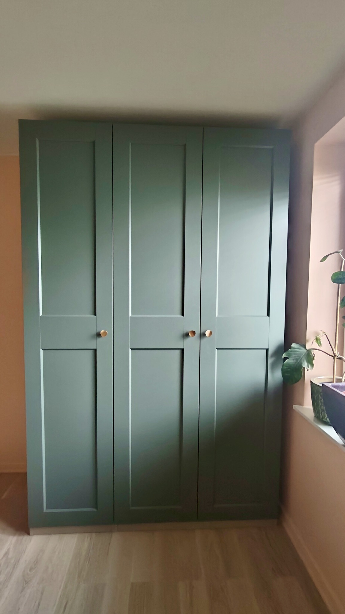 Trzydrzwiowa szafa w odcieniach zieleni z okrągłymi, mosiężnymi uchwytami, stojąca na jasnej podłodze, obok okna z rośliną doniczkową.