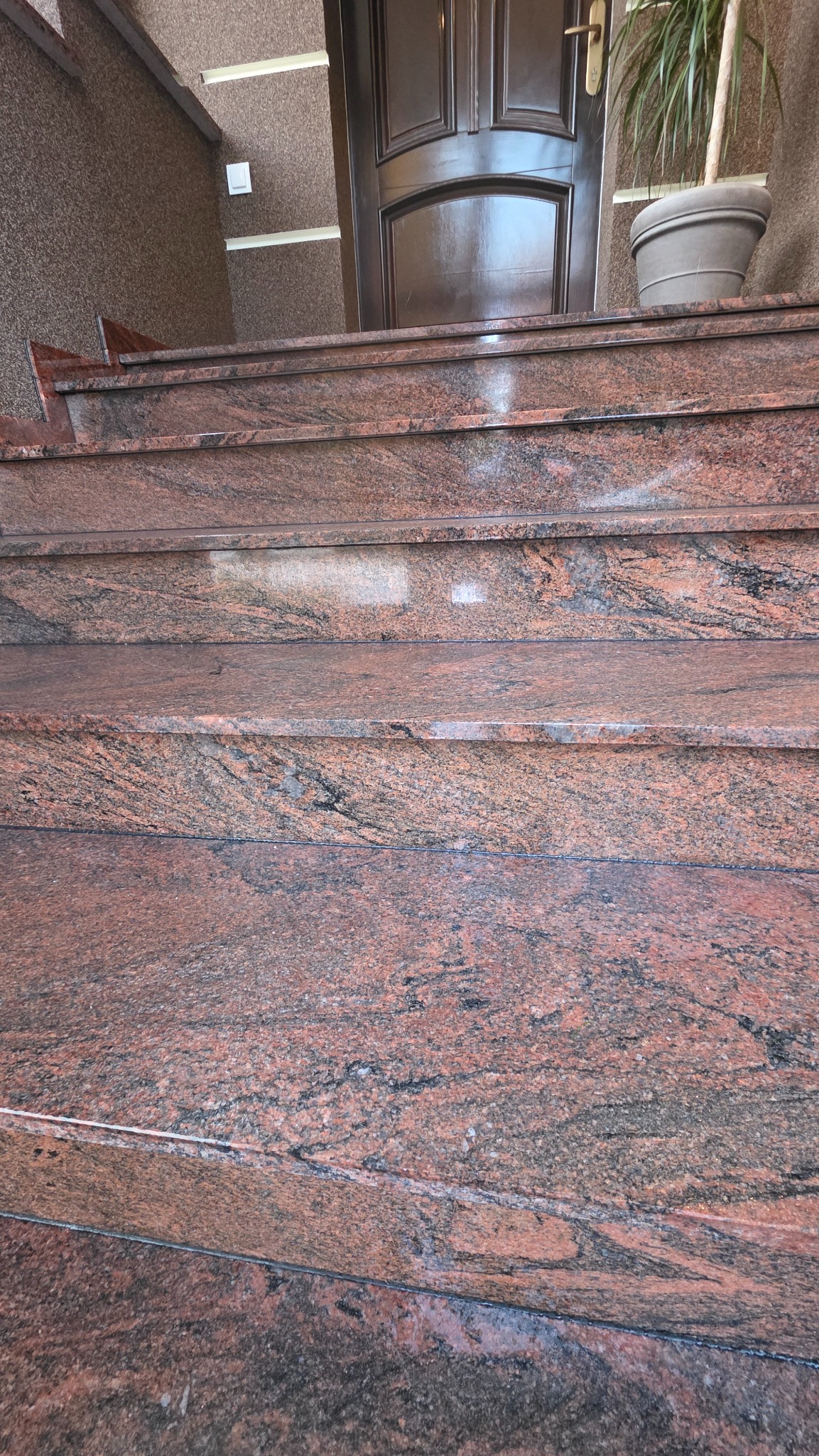 Granitowe schody zewnętrzne prowadzące do ciemnych drzwi wejściowych, z rośliną doniczkową po prawej stronie. Widok z dołu, ukazujący strukturę kamienia.