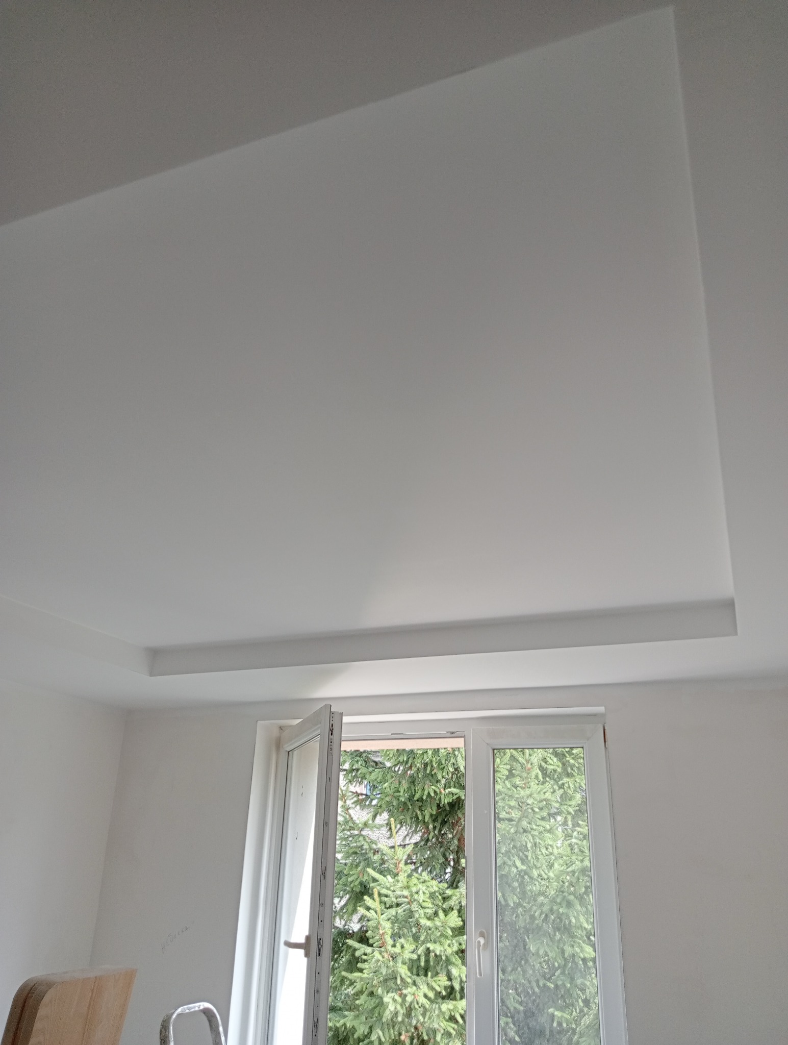 Biały sufit podwieszany z kasetonami w jasnym pokoju z oknem, widok na zewnątrz na drzewo iglaste.