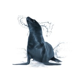 TOMDACH TOMASZ WŁODARCZYK - Staranne Opierzenie Dachu Zduńska Wola