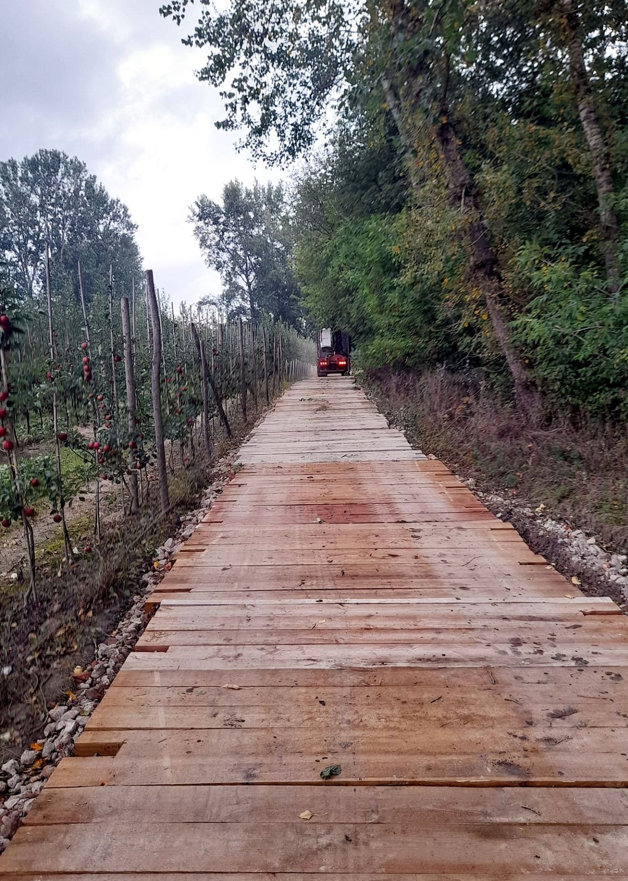 Droga dojazdowa do linii 400kV Kozienice - Miłosna