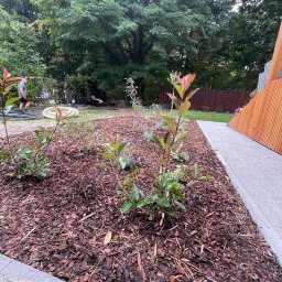 NOIBUD - Świeżo założony ogród z młodymi sadzonkami i korą, widoczny fragment ścieżki i osoba w tle, sugerująca prace ogrodowe w toku, w słoneczny dzień.