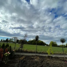 Świeżo posadzone drzewka w ogrodzie, widoczne młode drzewa z podparciem, rabata z kwiatami, trawnik za ogrodzeniem i zachmurzone niebo.