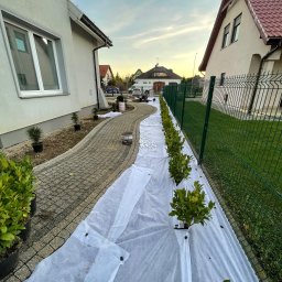 NOIBUD - Przed domem Wrocław