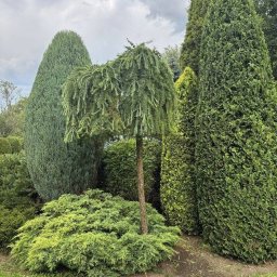 NOIBUD - Systemy nawadniania