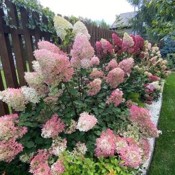 Systemy nawadniania Wrocław 4