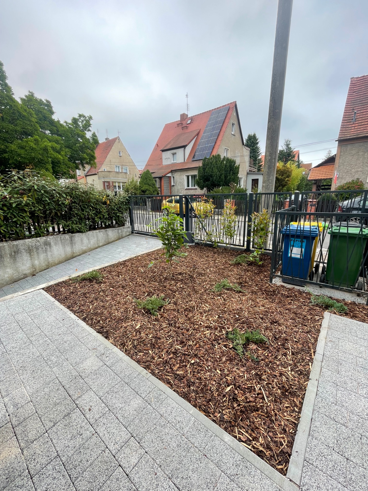 Kwadratowa rabata z korą i młodymi roślinami, obrzeża z szarej kostki, metalowe ogrodzenie, domy w tle. Widok na świeżo założony ogródek.