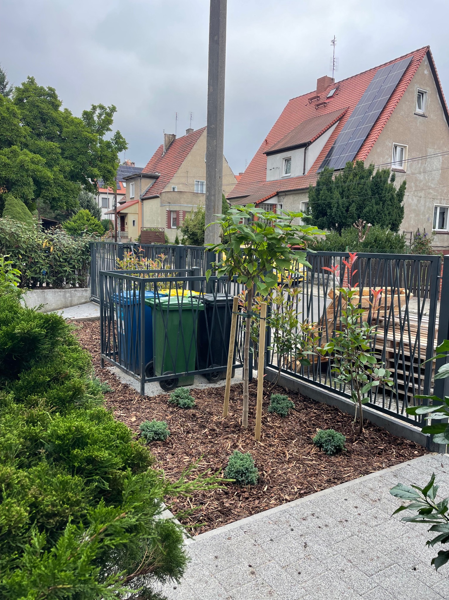 Nowo założony ogród z młodym drzewem podpartym palikami, obok krzewy i kora. W tle dom z panelami słonecznymi i zabudowa śmietnikowa.