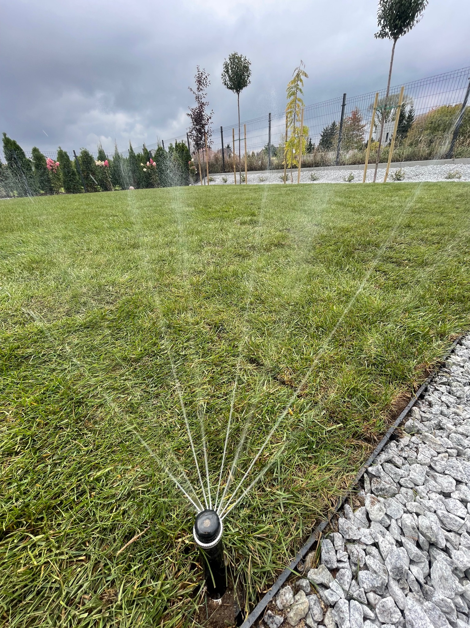 Działający zraszacz na tle zielonego trawnika, obok ścieżka z jasnych kamieni, w tle ozdobne drzewa i krzewy. Widoczne rozpylone krople wody.