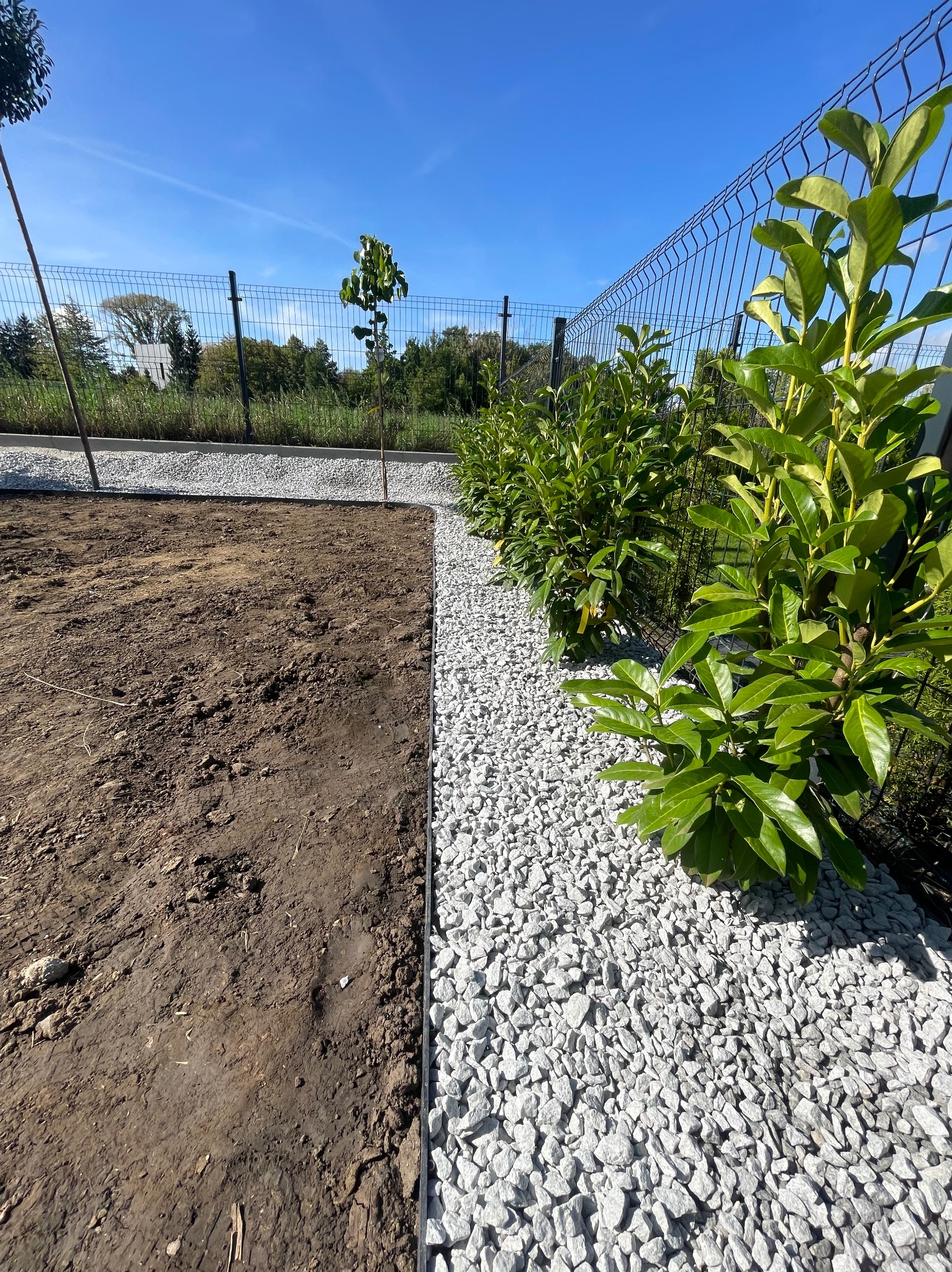 Przygotowany teren pod trawnik z obrzeżem, ozdobiony białym grysem i młodymi krzewami wzdłuż metalowego ogrodzenia. Błękitne niebo w tle.
