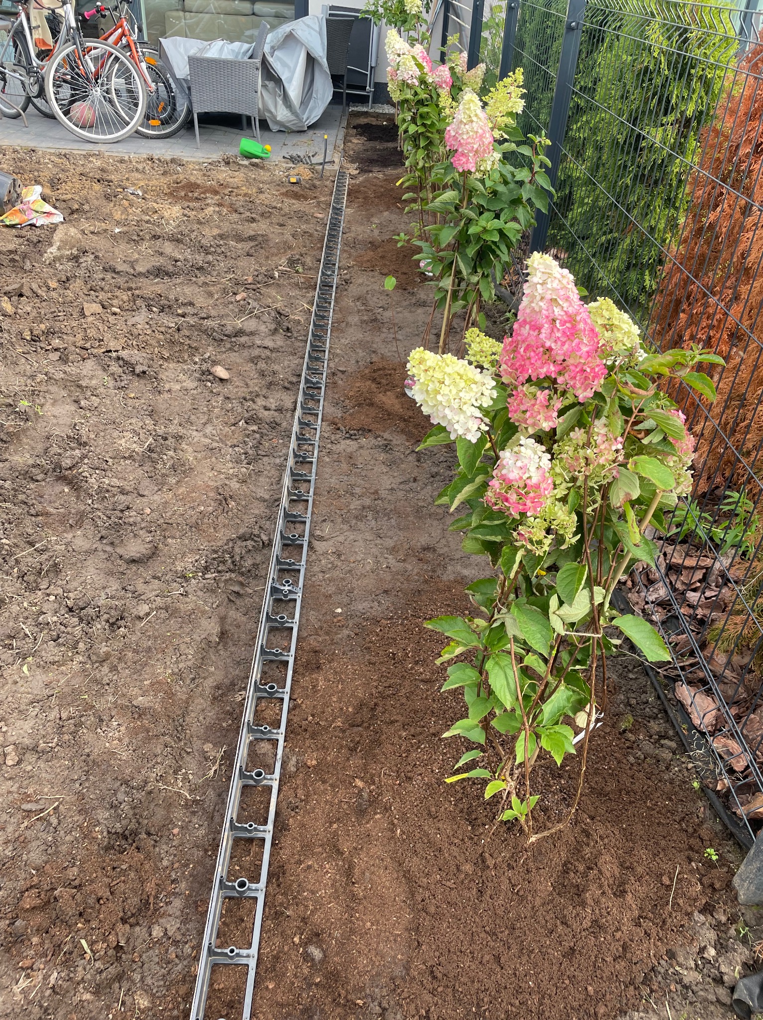 Montaż odwodnienia liniowego wzdłuż rabaty z posadzonymi hortensjami w ogrodzie. Widoczne elementy systemu i przygotowane podłoże.