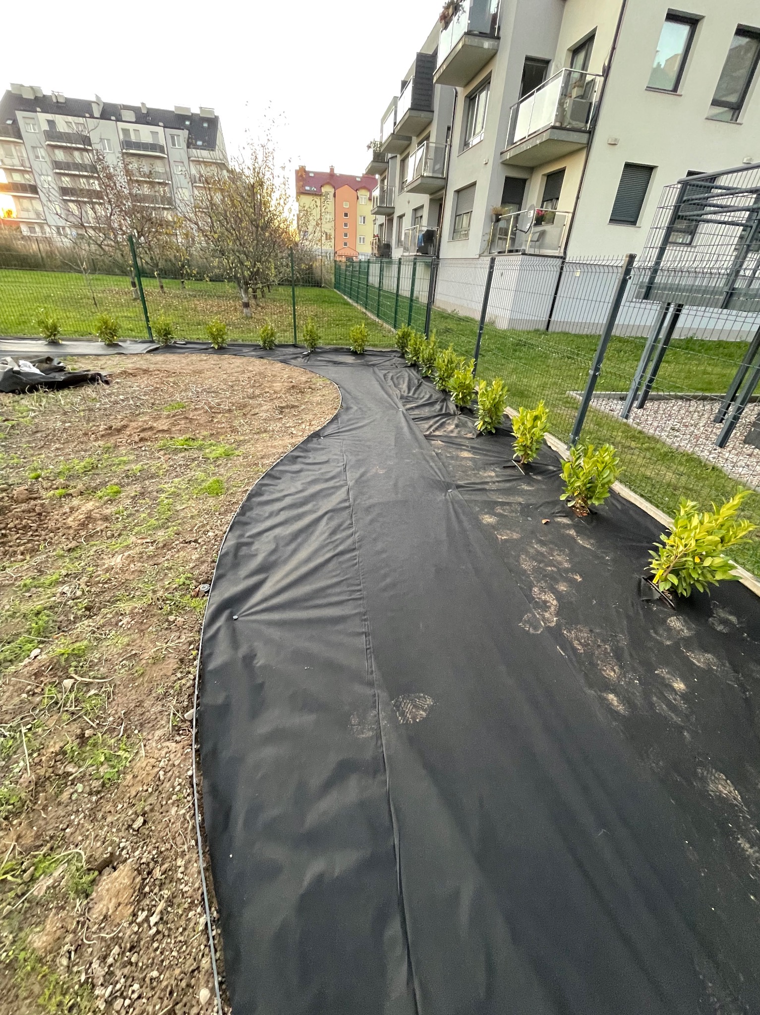 Etap zakładania ogrodu: rozłożona czarna agrowłóknina wzdłuż ścieżki, posadzone małe krzewy, w tle budynki mieszkalne i ogrodzenie. Widok z perspektywy ziemi.