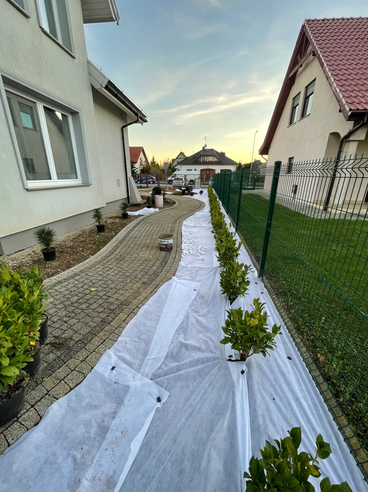 Etap zakładania ogrodu: rozłożona agrowłóknina, posadzone krzewy wzdłuż ogrodzenia, ścieżka z kostki brukowej, przygotowane miejsce pod nasadzenia.