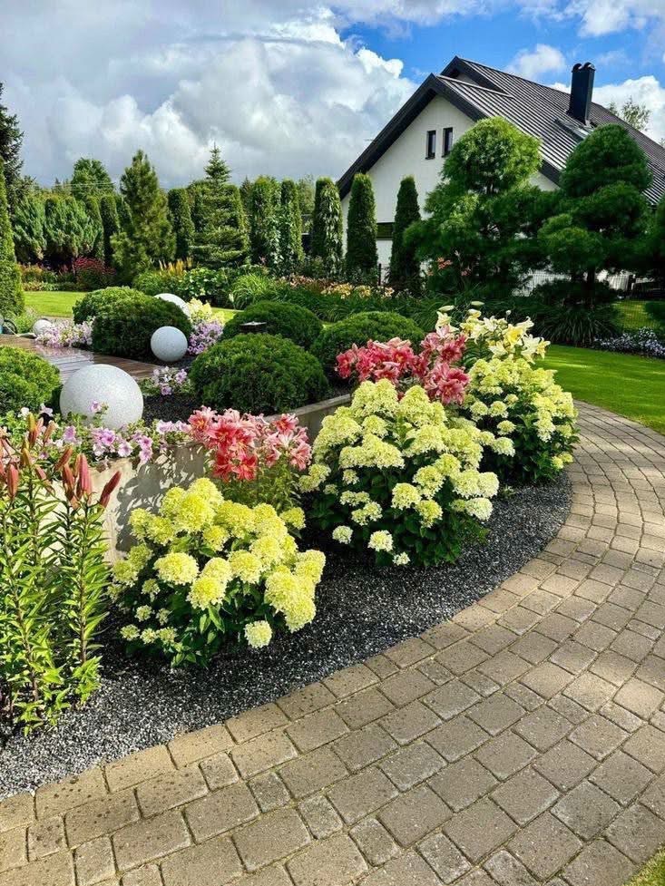 Ogród z kulistymi krzewami, kwitnącymi hortensjami i ścieżką z kostki brukowej. W tle dom z ciemnym dachem i starannie przystrzyżone drzewa.