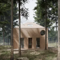 Nowoczesny, dwukondygnacyjny dom z drewnianą elewacją i okrągłymi oknami, otoczony lasem iglastym, widoczny z perspektywy gruntu.