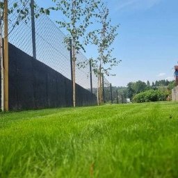 Od projektu do efektu - Świeżo skoszony trawnik z młodymi drzewkami wzdłuż czarnego muru i siatki ogrodzeniowej, widok z niskiej perspektywy.