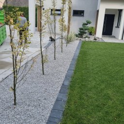 Od projektu do efektu - Nowoczesny ogród z równo przystrzyżonym trawnikiem, szarym żwirem oddzielonym obrzeżem z kostki brukowej, młodymi drzewkami i elementami małej architektury w tle.