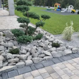 Ogród z ozdobnym drzewkiem bonsai otoczonym kamieniami, trawnikiem i placem zabaw w tle, obrzeża z kostki brukowej.