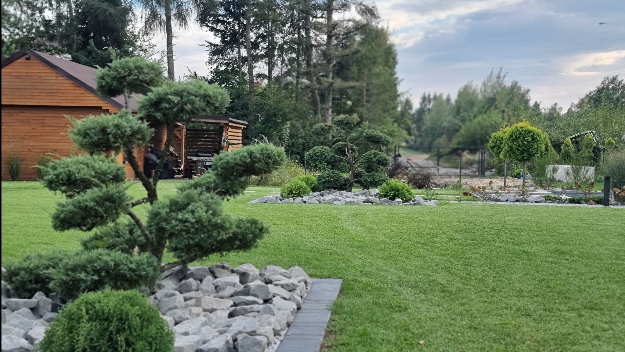 Uformowany jałowiec na skalniaku z szarych kamieni i kostki, równo przystrzyżony trawnik, w tle zabudowa ogrodowa i drzewa.