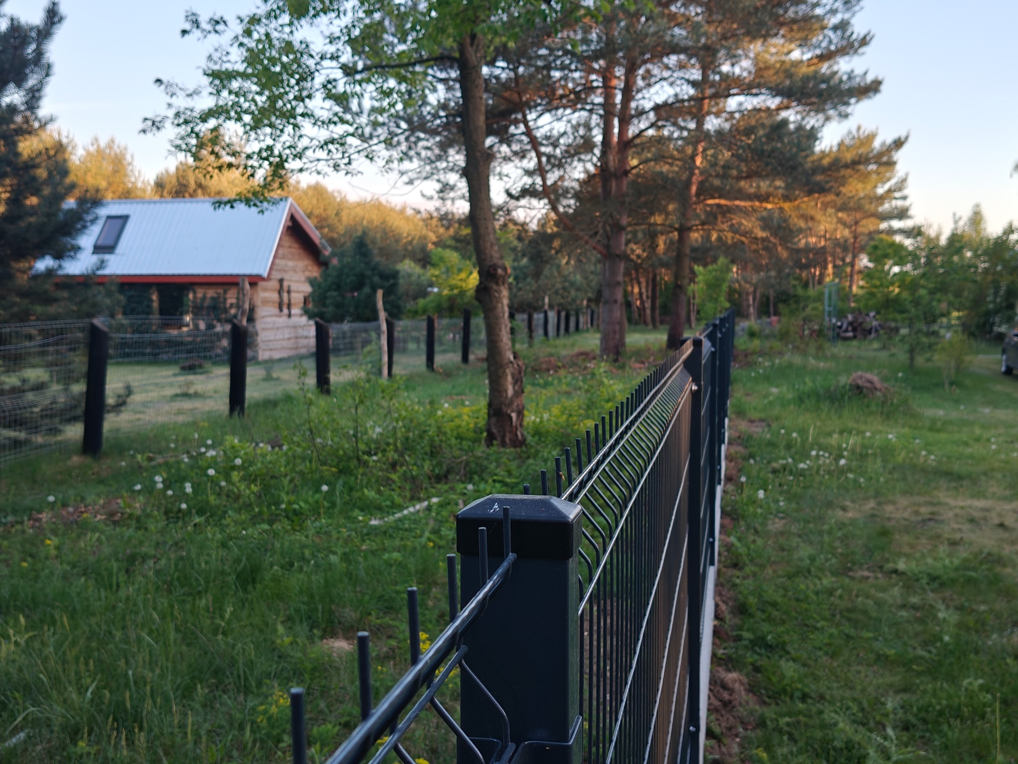 Ciemny panel ogrodzeniowy na tle zielonego trawnika i drewnianego domu z szarym dachem, widziany z bliska w słoneczny dzień.