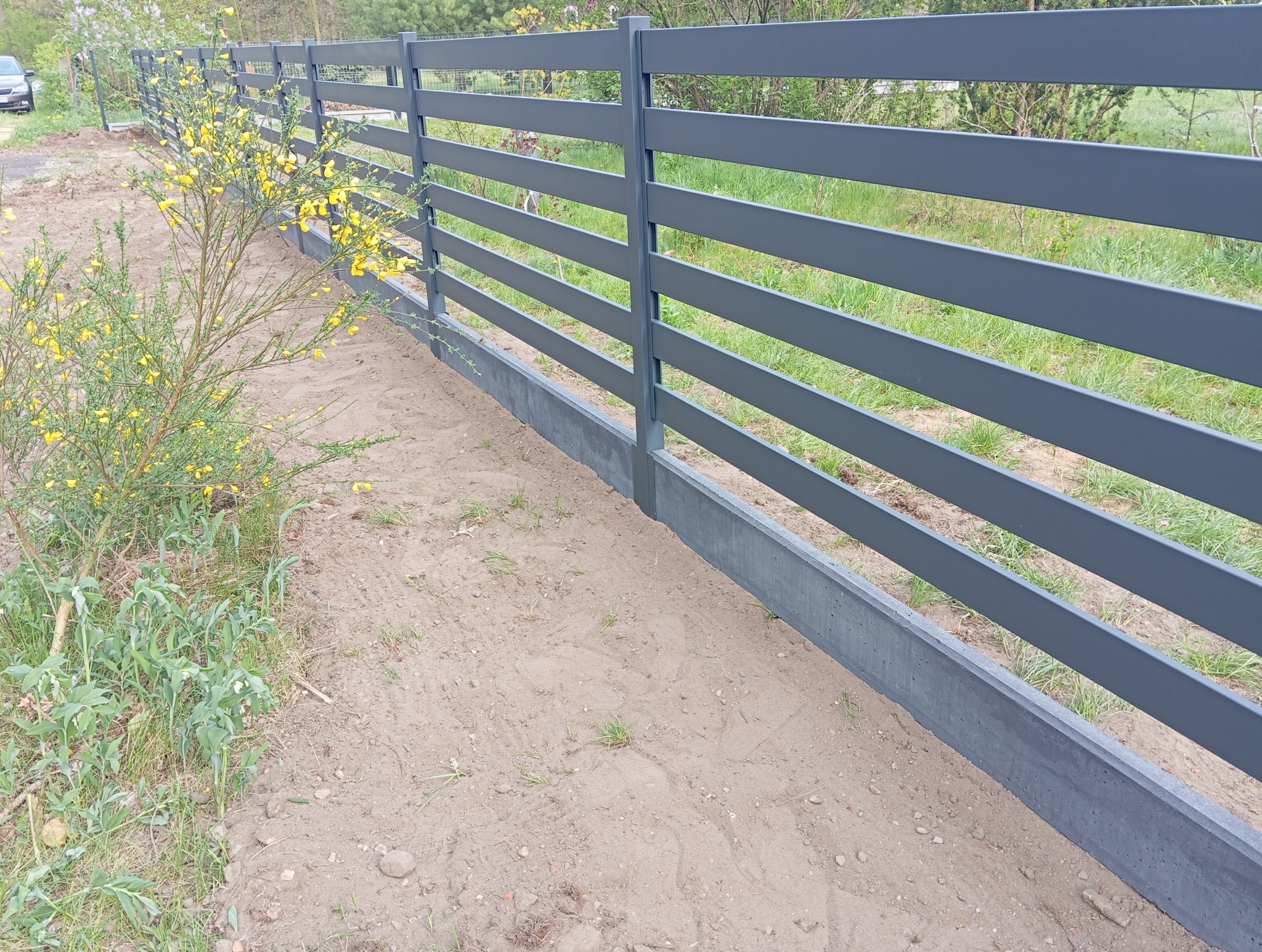 Nowoczesne, poziome ogrodzenie panelowe w kolorze grafitowym, osadzone na betonowej podmurówce. W tle zieleń, z przodu kwitnący krzew. Ujęcie z bliska.