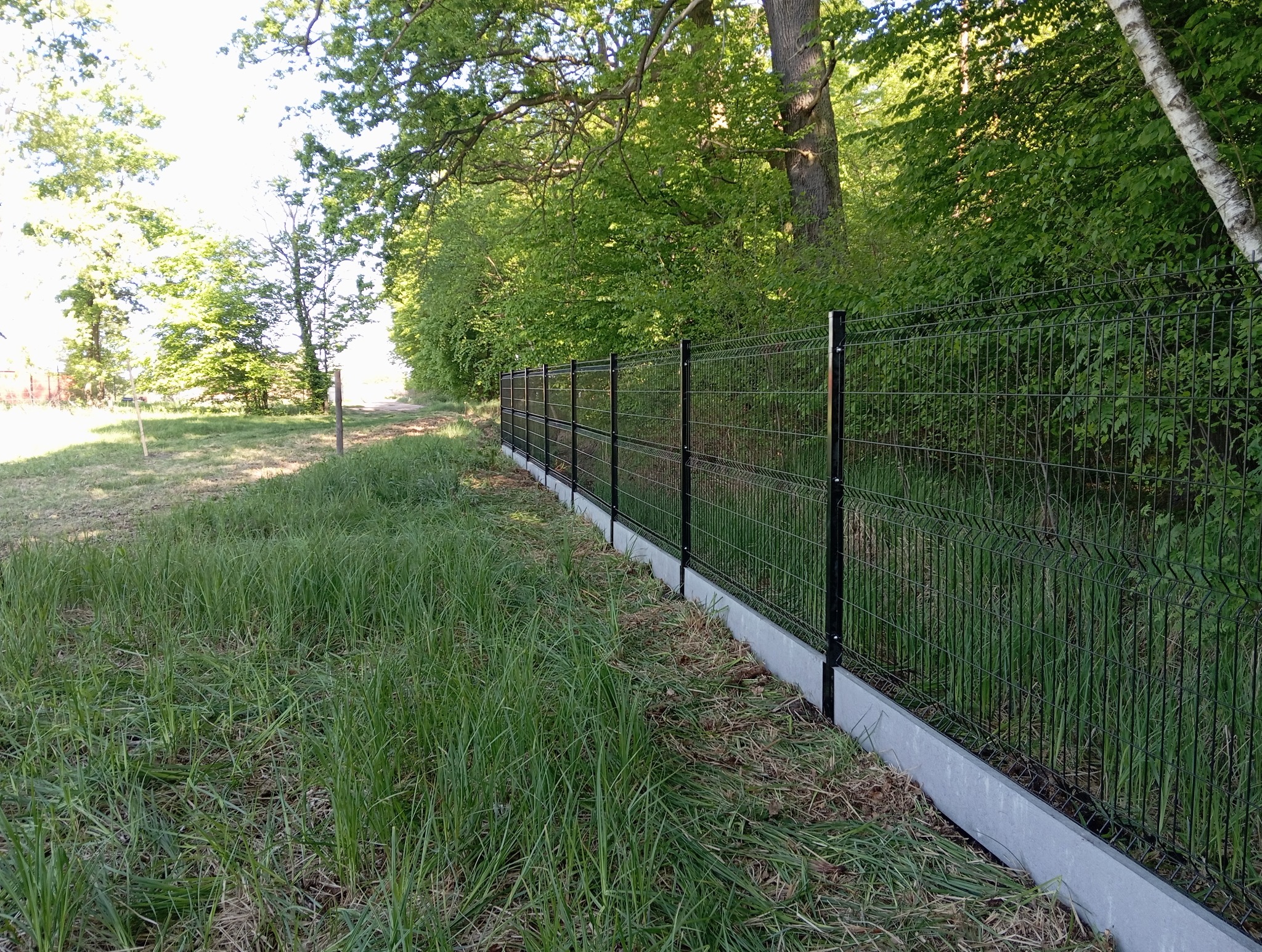 Nowoczesne ogrodzenie panelowe z podmurówką betonową na zalesionym terenie, widoczne z perspektywy gruntu, z wysoką trawą. Czarny metal kontrastuje z zielenią otoczenia.