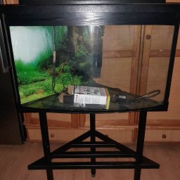 WAWRO - Czarny metalowy stelaż pod akwarium z trójkątną podstawą, na blacie akwarium filtr i akcesoria, tło z zieloną roślinnością wewnątrz akwarium.