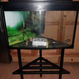 Czarny metalowy stelaż pod akwarium z tr&oacute;jkątną podstawą, na blacie akwarium filtr i akcesoria, tło z zieloną roślinnością wewnątrz akwarium.