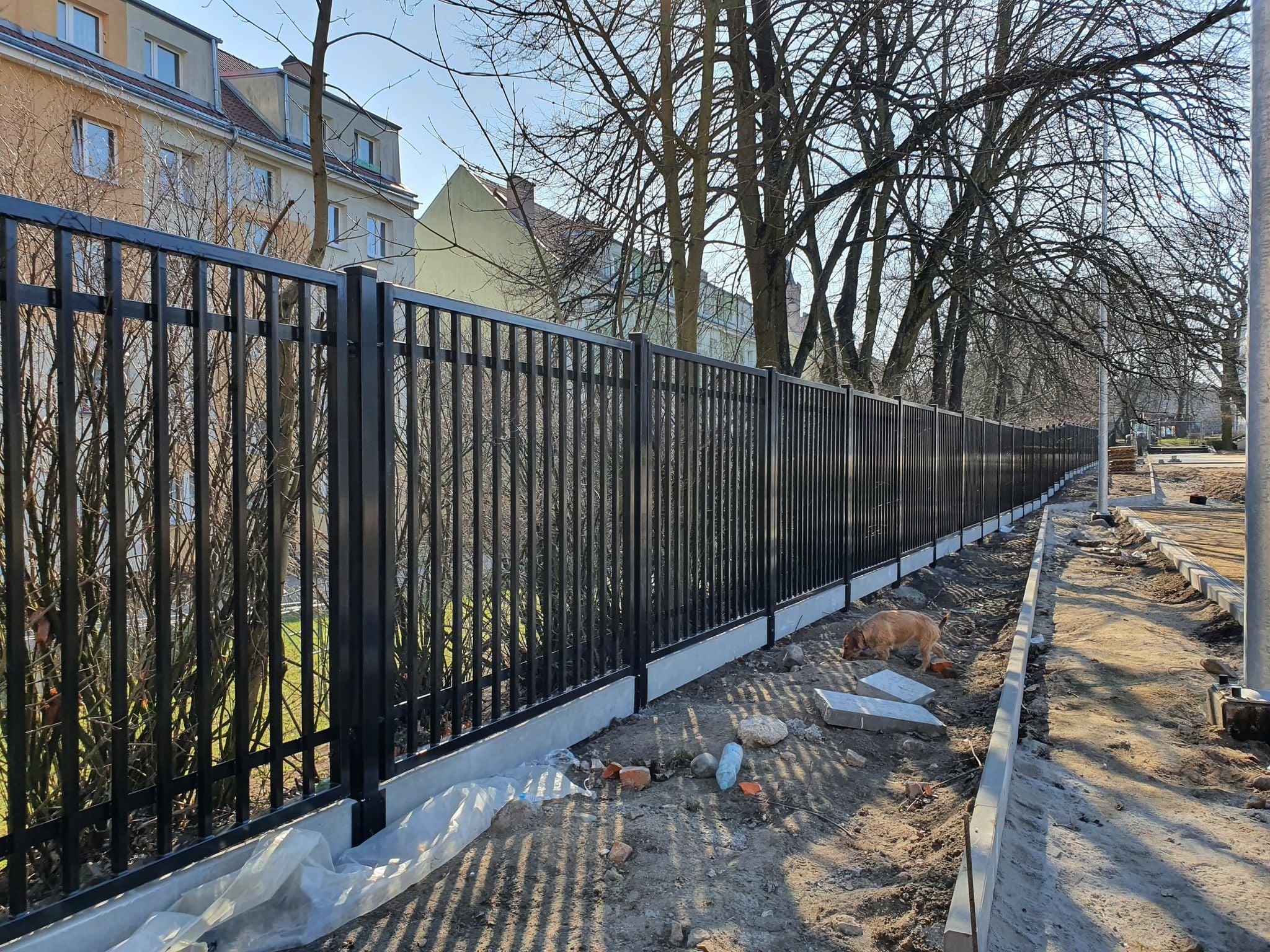 Długie, czarne, metalowe ogrodzenie panelowe na betonowej podmurówce, w tle budynki mieszkalne i drzewa bez liści, na ziemi gruz i pies w kolorze rudym.