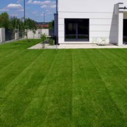 Świeżo założony trawnik z rolki przed nowoczesnym domem z białymi ścianami i dużymi oknami, widoczne ślady po kosiarce, ogrodzenie panelowe w tle.