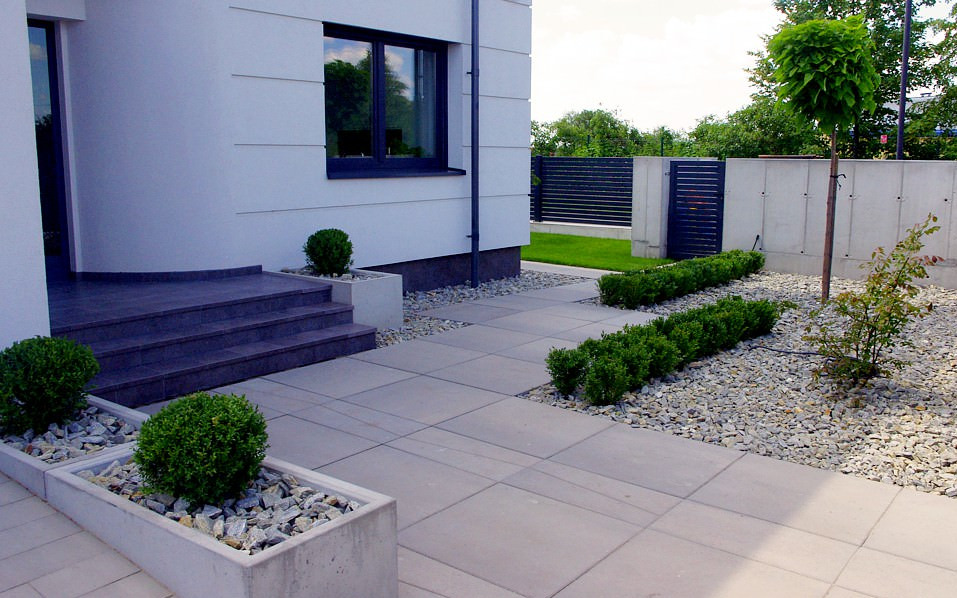 Nowoczesny ogród przydomowy z szarej kostki brukowej, obrzeżami z kamieni i strzyżonymi krzewami bukszpanu w betonowych donicach, uzupełniony młodym drzewem na pniu i rabatą z kamieni.