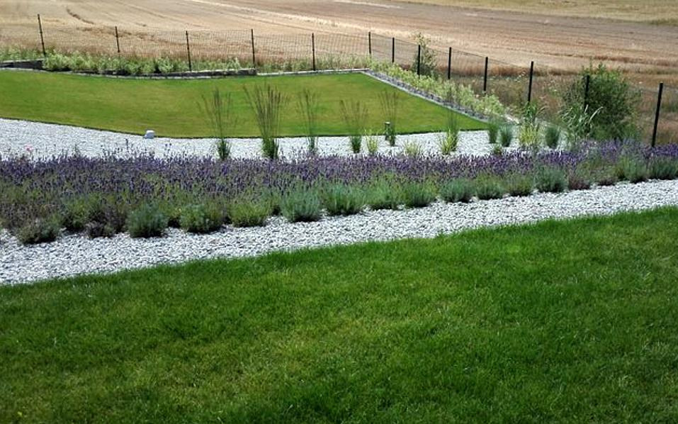 Starannie zaprojektowany ogród z równo przystrzyżonym trawnikiem, pasem białego żwiru i rzędem kwitnącej lawendy, w tle pole uprawne i czarne ogrodzenie.