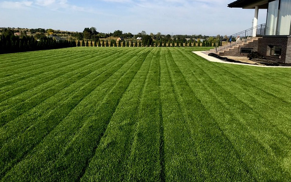 Rozległy, idealnie przystrzyżony trawnik z widocznymi pasami po kosiarce, przylegający do nowoczesnego domu z kamiennymi schodami i metalową balustradą, w tle rząd regularnie posadzonych drzew...
