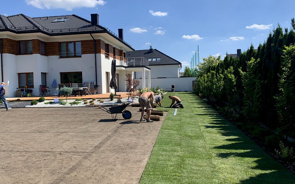 Układanie trawy z rolki na przygotowanym terenie przy nowoczesnym domu, widoczni pracownicy w trakcie pracy, taczka z rolkami trawy obok, rząd tuj w tle.