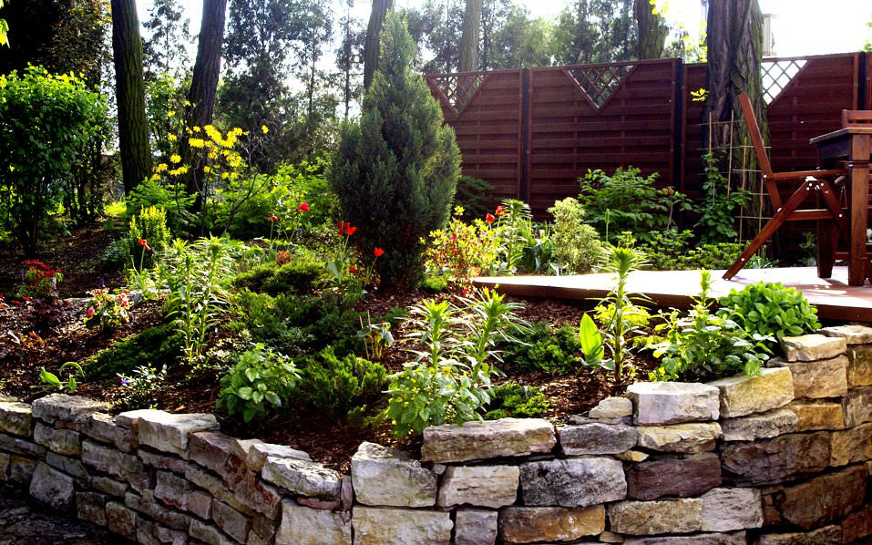 Ogród z kamienną rabatą, różnorodną roślinnością, tujami, czerwonymi tulipanami i drewnianym płotem w tle, oświetlony popołudniowym słońcem.