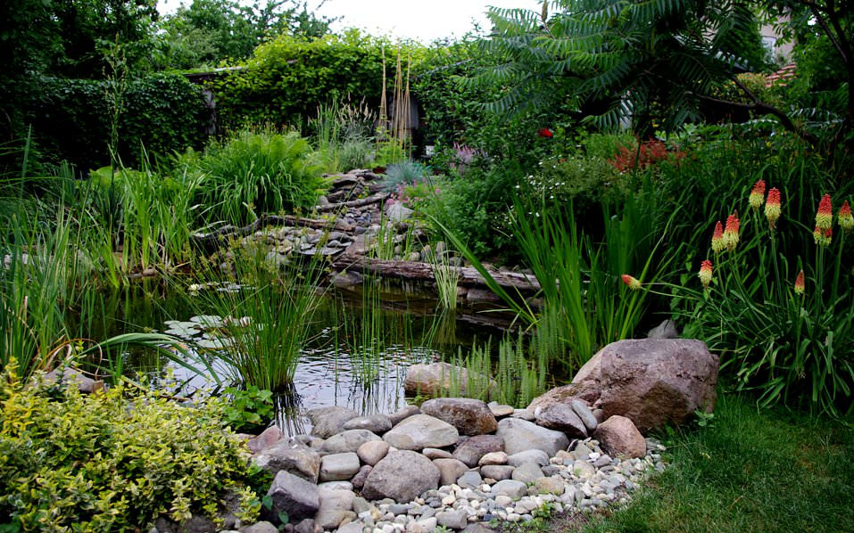 Naturalistyczny ogród z oczkiem wodnym, kamieniami i różnorodną roślinnością, w tym kępami kwitnących knifofii. W tle wysokie trawy i drzewa.