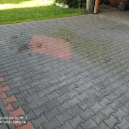 Stop Plamom - Częściowo oczyszczona kostka brukowa z mchem i zabrudzeniami, z widocznym fragmentem trawnika i elementami otoczenia w tle. Różnica w kolorze kostki po czyszczeniu.
