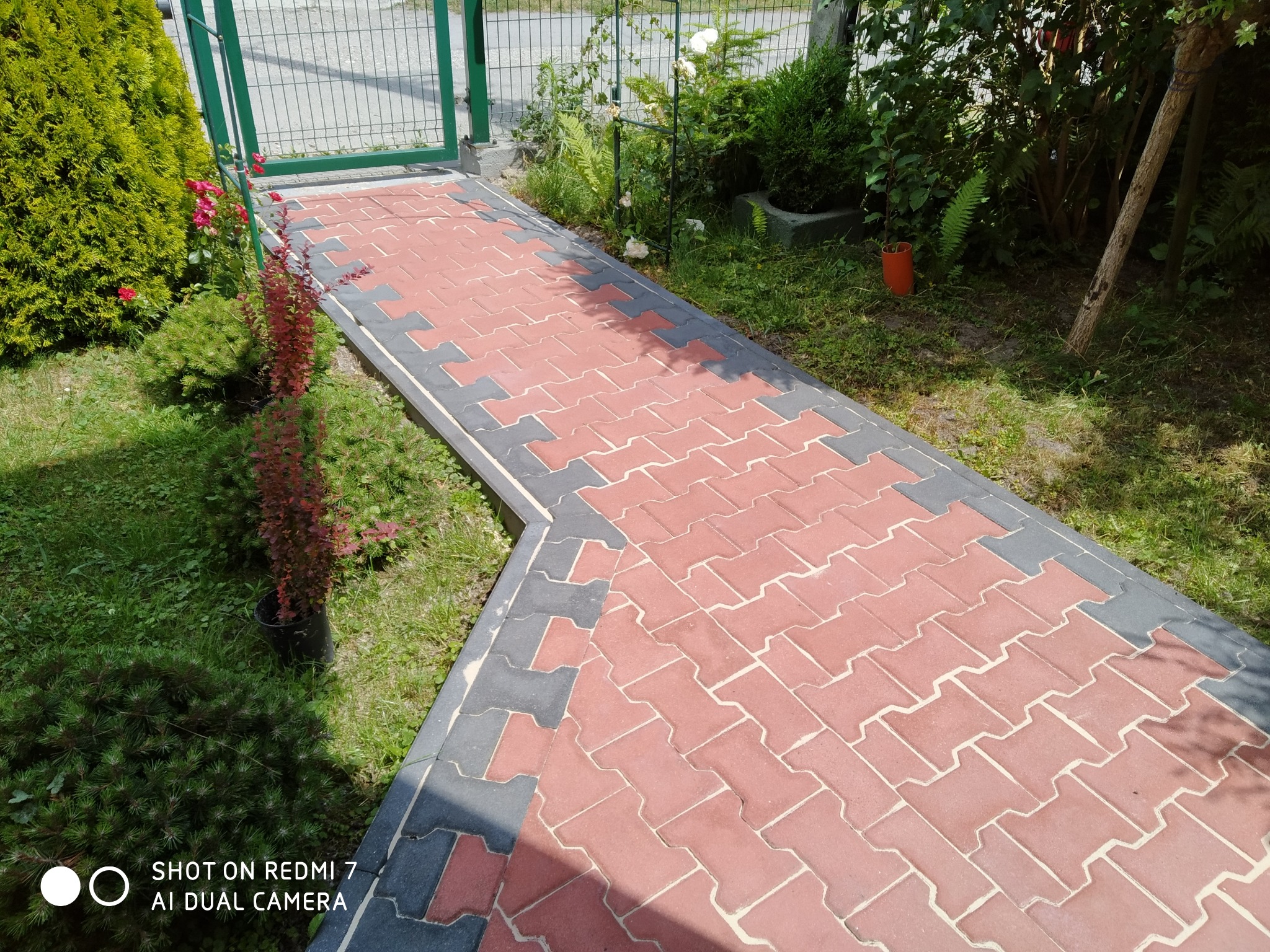 Czerwono-szara kostka brukowa ułożona w zygzakowaty wzór tworzy ścieżkę w ogrodzie, prowadzącą do zielonej bramki. Po bokach roślinność i krzewy.