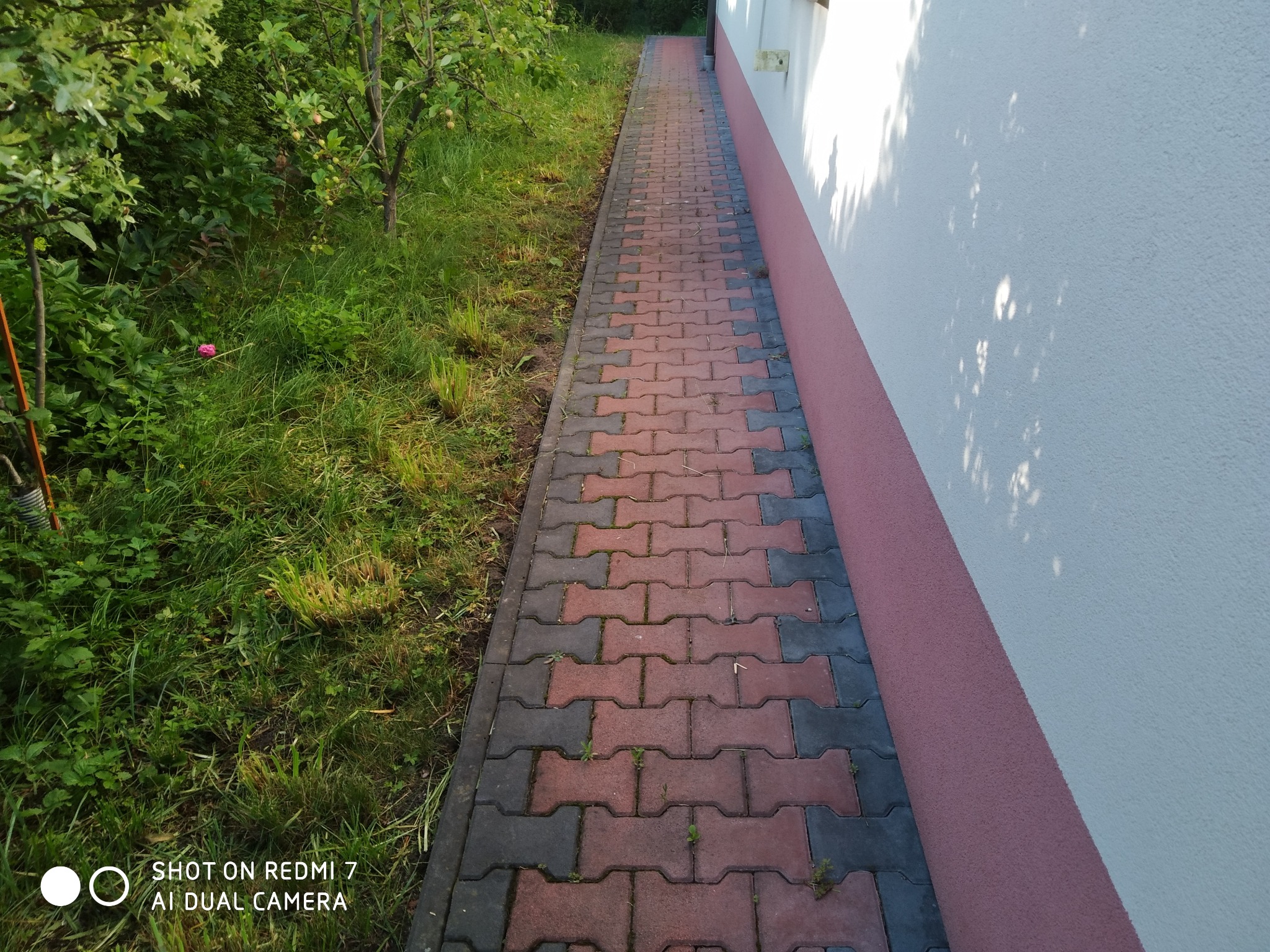 Czerwono-czarna kostka brukowa ułożona wzdłuż białej ściany budynku i zielonego trawnika. Widok z góry, z lekkim kątem. Kostka miejscami porośnięta trawą.