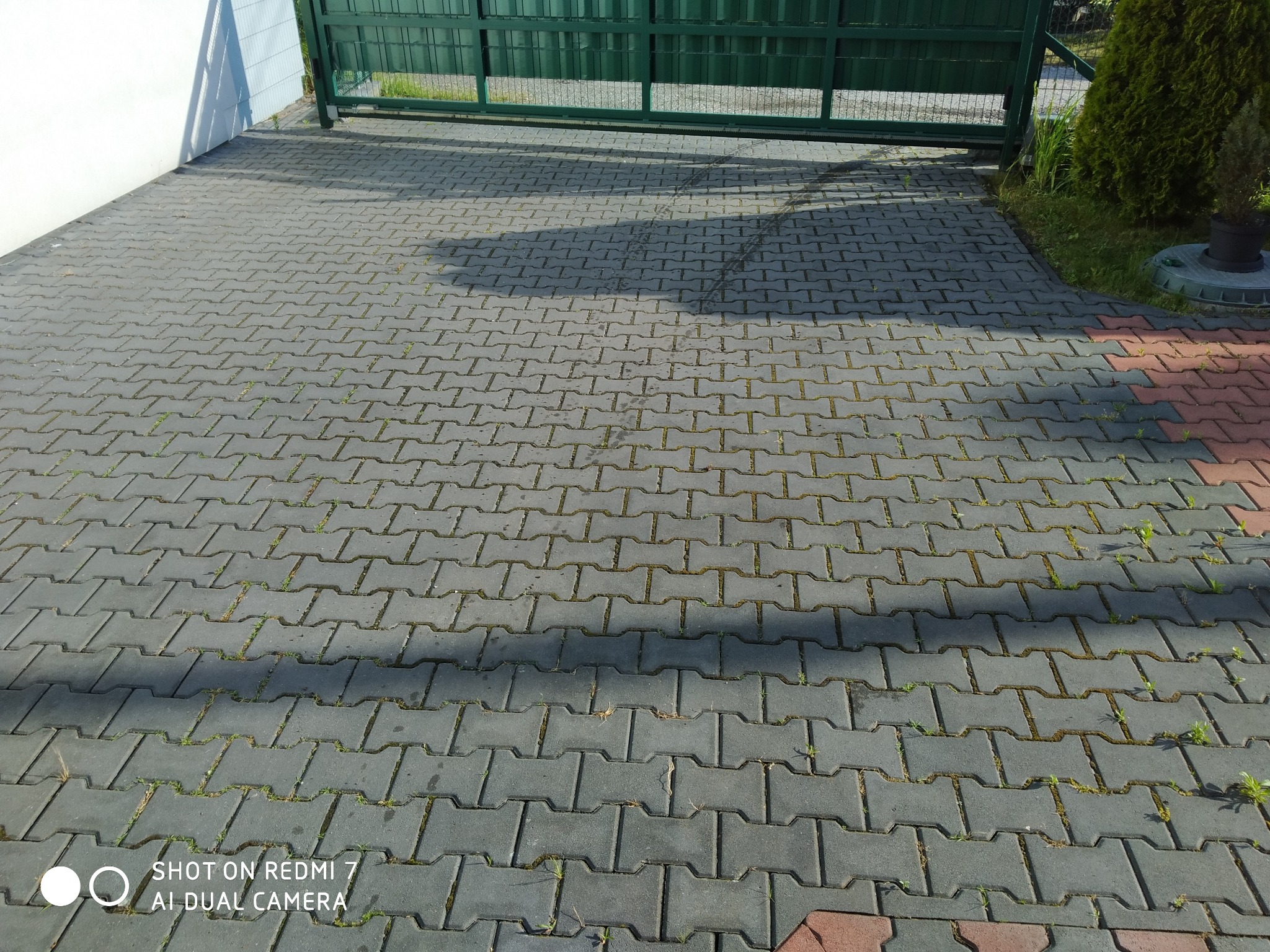 Szara kostka brukowa z zielonymi chwastami w szczelinach, częściowo zacieniona, z widoczną zieloną bramą w tle.