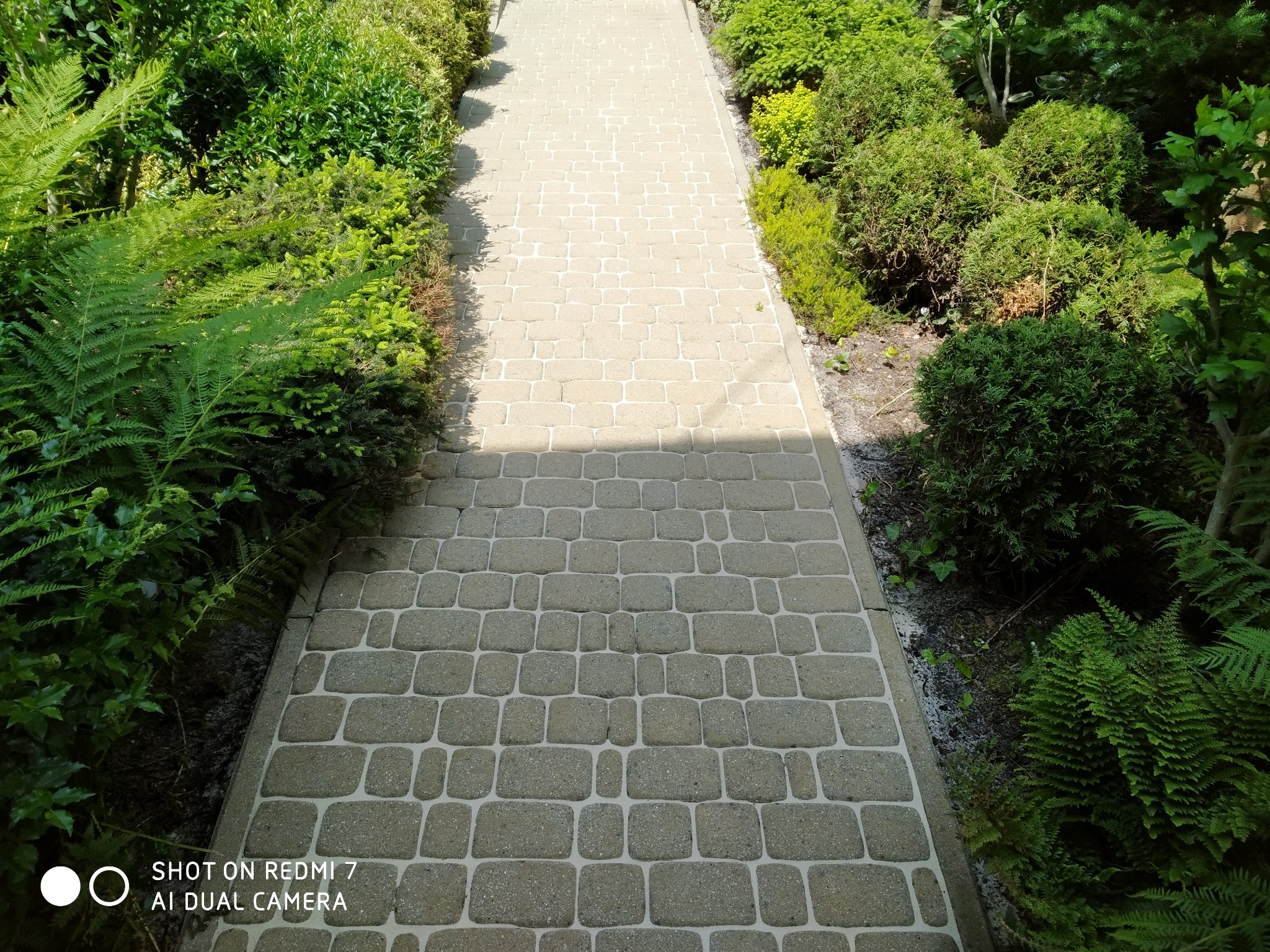 Ścieżka z kostki brukowej otoczona zielenią, prowadząca w głąb ogrodu. Kostka w odcieniach szarości, ułożona w regularny wzór. Bujna roślinność po obu stronach ścieżki.