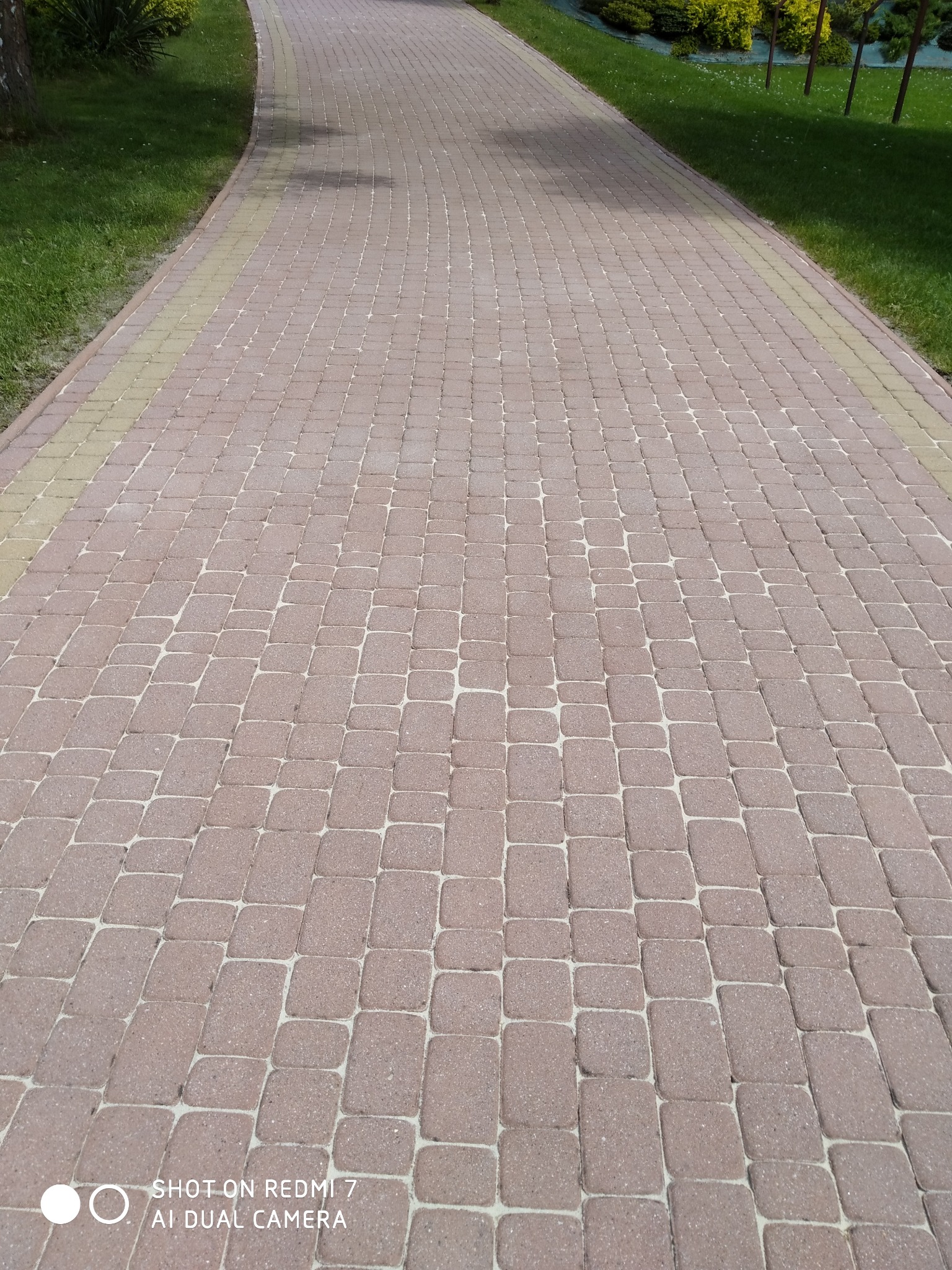 Czysta, różowa kostka brukowa ułożona w ścieżkę, otoczona zielonym trawnikiem. Widok z perspektywy pieszego, lekko zakrzywiona trasa.