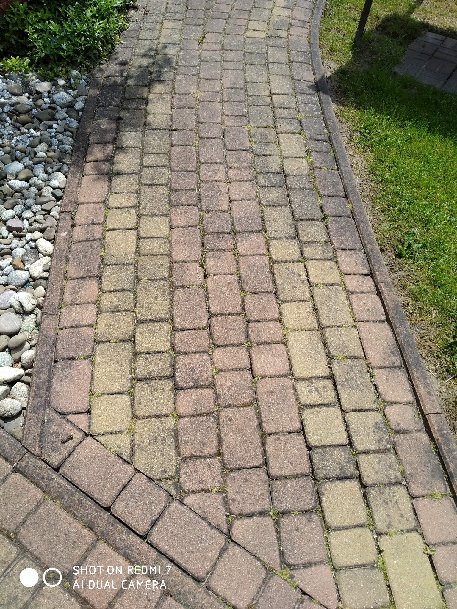 Ścieżka z kostki brukowej w odcieniach brązu i żółci, porośnięta drobną trawą, obok zielony trawnik i kamienie ozdobne. Widok z góry, w słoneczny dzień.