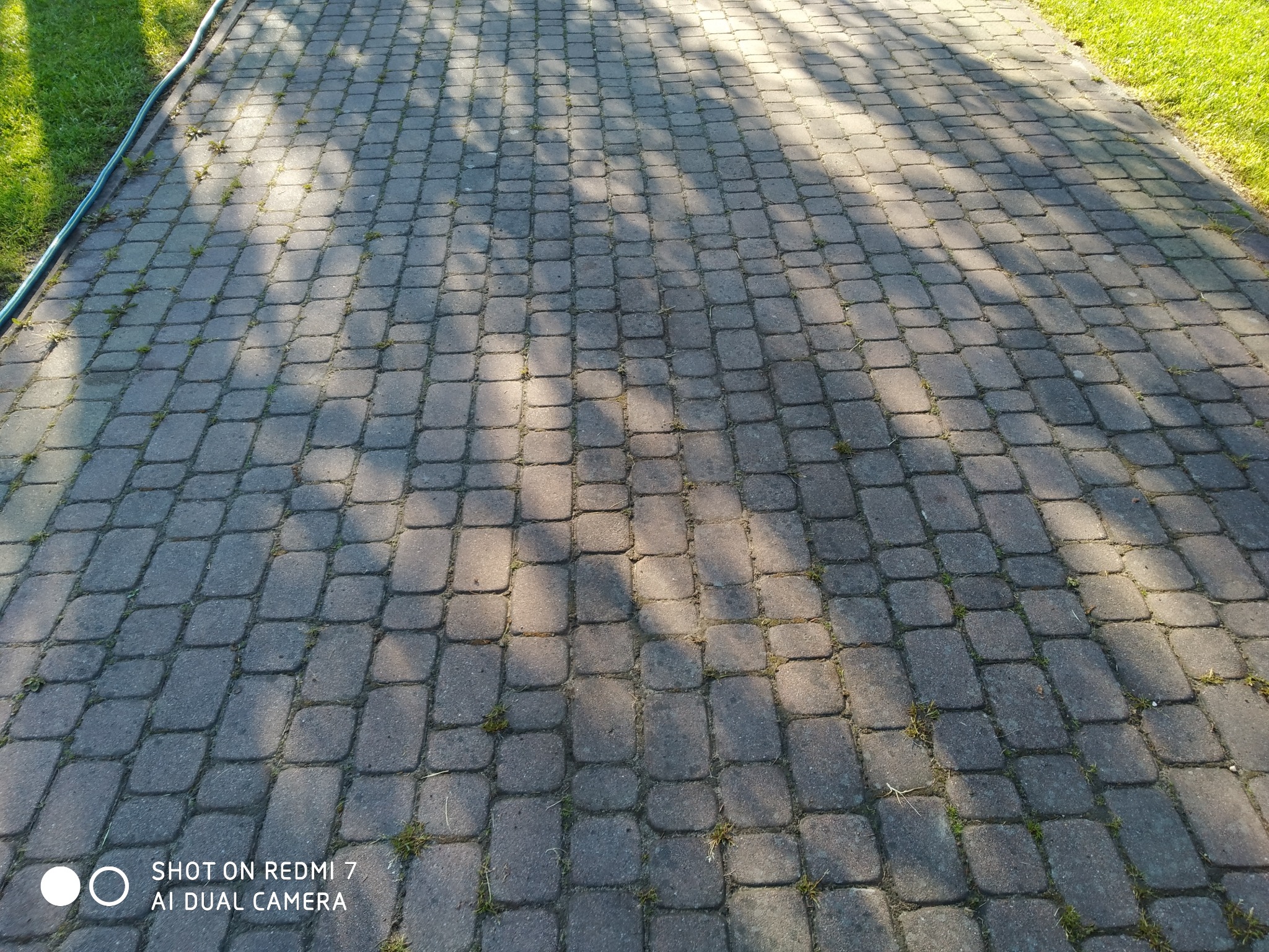 Szara kostka brukowa z chwastami w szparach, oświetlona promieniami słońca tworzącymi cienie. W tle widoczny trawnik. Kadr z dołu, perspektywa zbieżna.