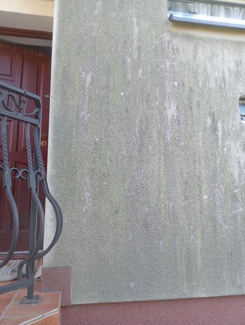 Szara, zabrudzona elewacja budynku z widocznymi śladami organicznych nalotów, fragment okna i wejścia z metalową barierką w bliskim kadrze.