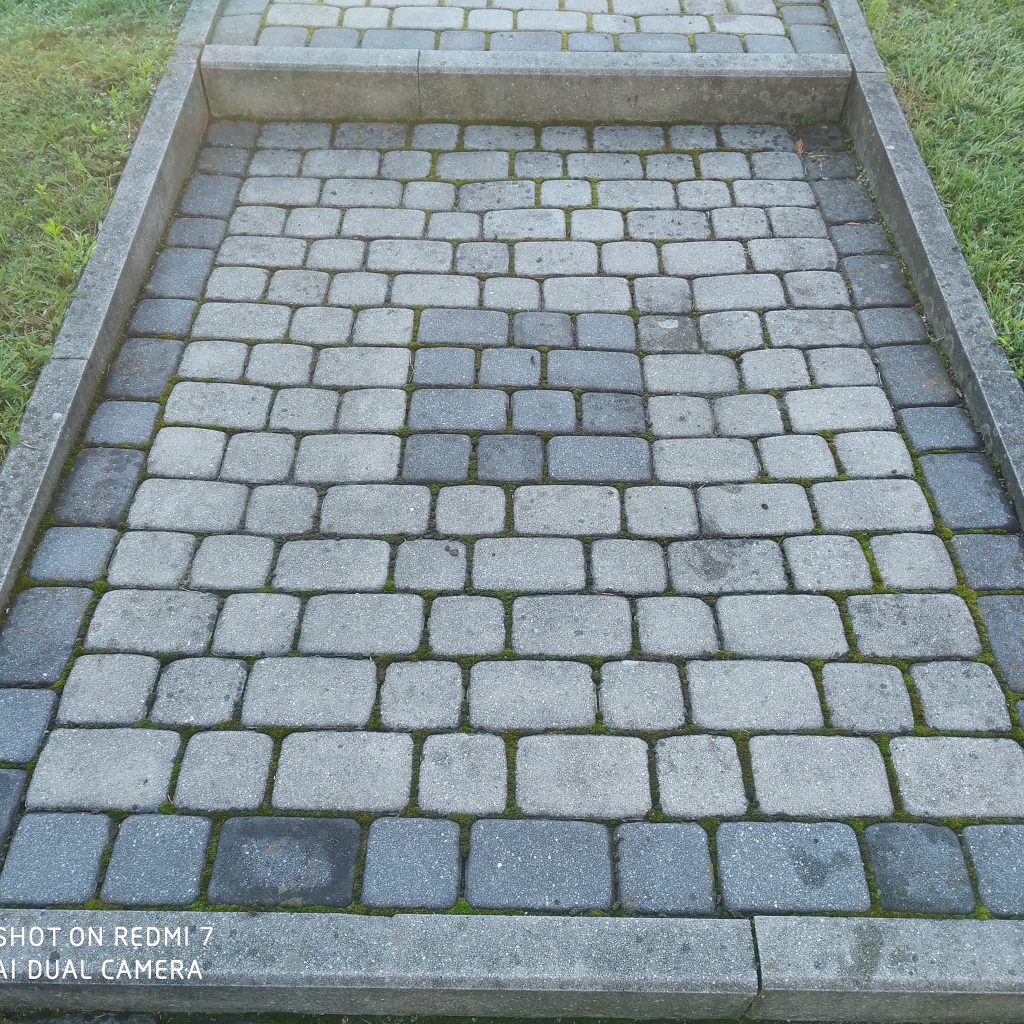 Szara kostka brukowa z zielonym mchem w szczelinach, obramowana betonowym krawężnikiem i trawą. Widok z góry, lekko ukośny. Część kostki jest ciemniejsza.