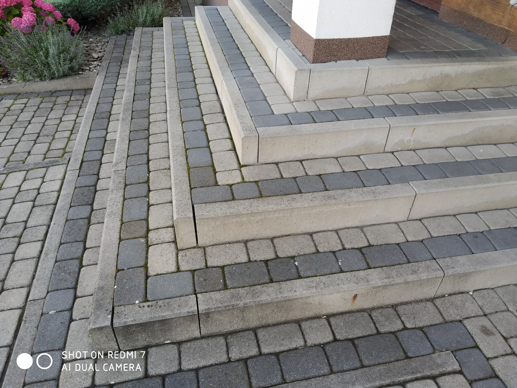 Schody wejściowe wyłożone kostką brukową w odcieniach szarości i beżu, z widocznymi fugami i fragmentem rabaty kwiatowej z różowymi hortensjami w tle.